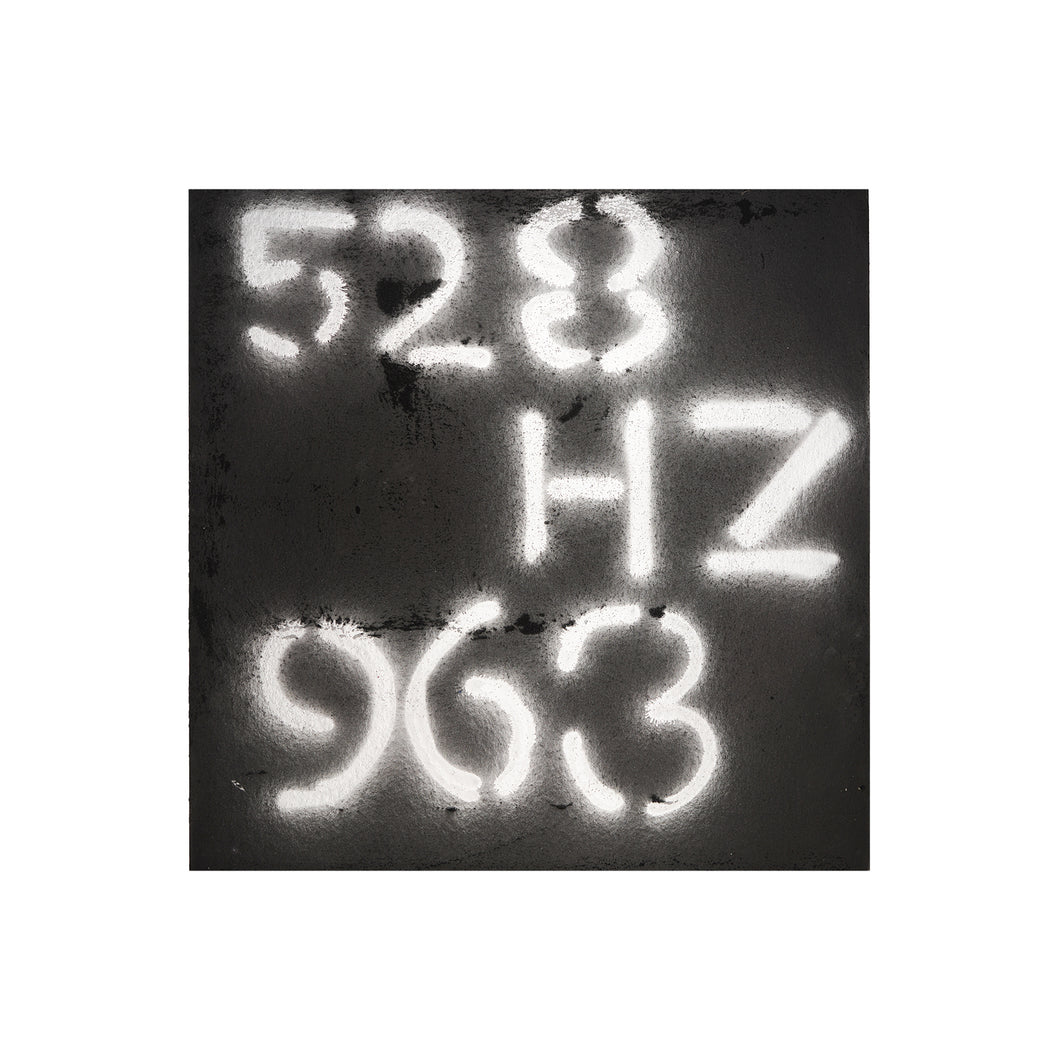 EVEN THE PREGNANT WORDS OF POETS DO NOT EVOKE PICTURES IN MY MIND